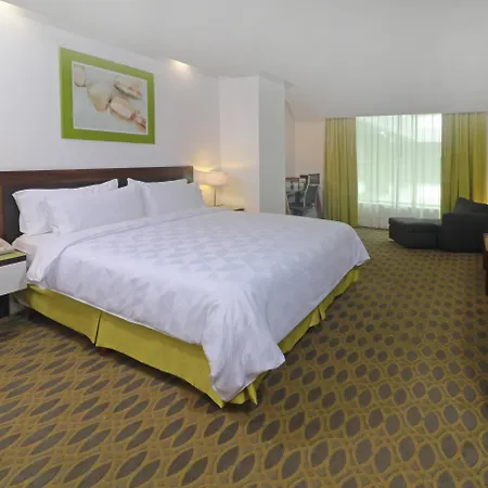 Holiday Inn Queretaro Zona Krystal By Ihg-2