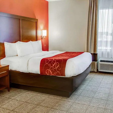 Comfort Suites Tyler South-2