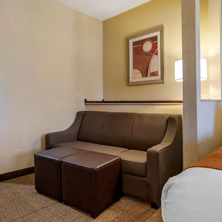 Comfort Suites Airport South-3