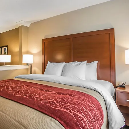 Comfort Inn Pa Turnpike - I-81-3