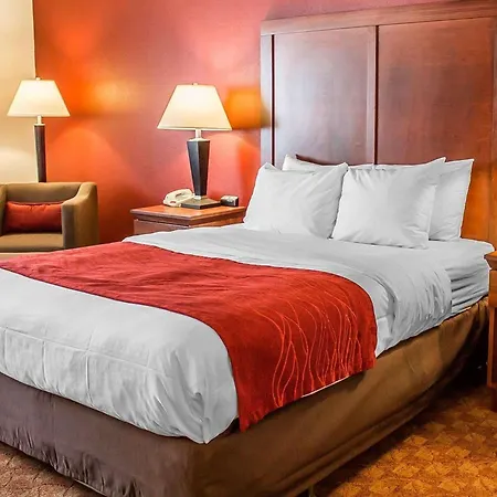 Quality Inn Lima Northeast-3