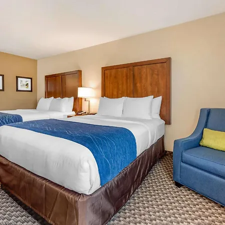 Comfort Inn & Suites Near Route 66-3