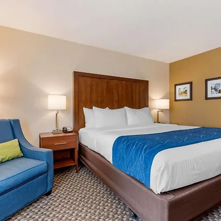 Comfort Inn & Suites Near Route 66-2