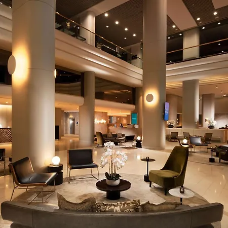 Hilton Darwin-2