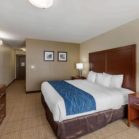 Comfort Inn & Suites Northern Kentucky-3
