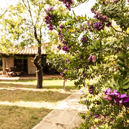 Aumallia Hotel & Spa-2