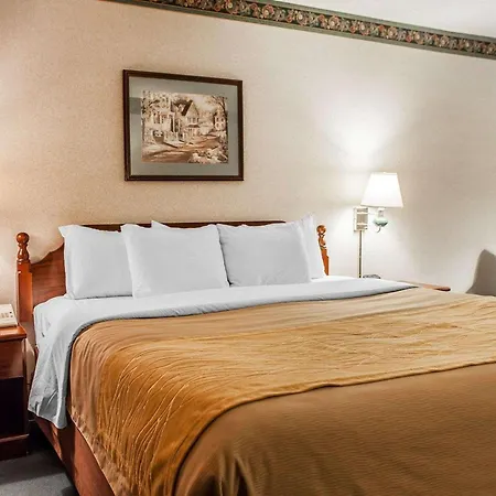 Quality Inn Midway-3