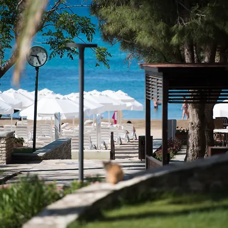 Arum Barut Collection-2
