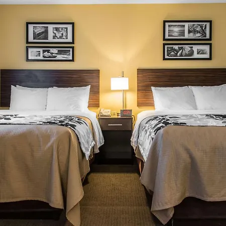 Sleep Inn & Suites Pittsburgh Airport-3