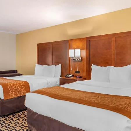 Comfort Inn & Suites Athens North-3