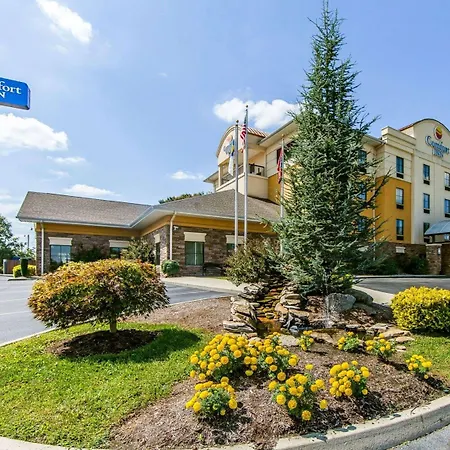 Comfort Inn Athens I - 75-3