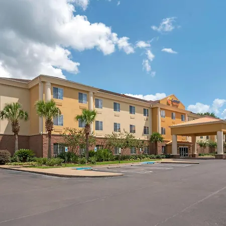 Comfort Suites Alexandria North-3
