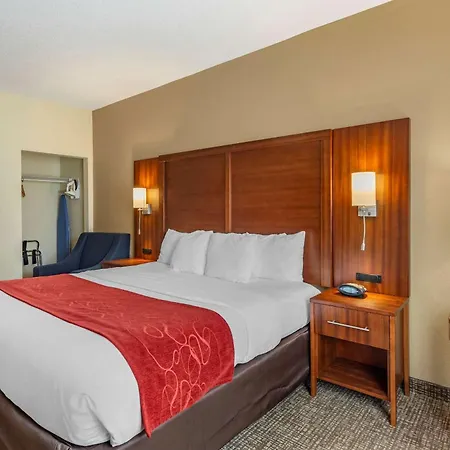 Comfort Suites Southaven - Memphis South-2