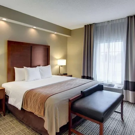 Comfort Inn West Monroe Near Sports & Events Center-3