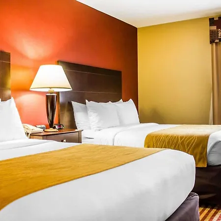 Comfort Inn & Suites-2