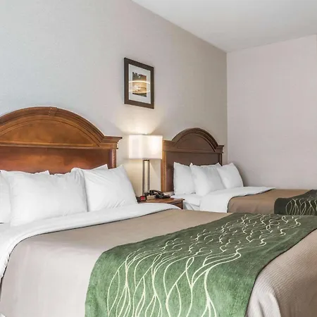 Comfort Inn & Suites South Burlington Near University-2
