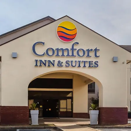 Comfort Inn & Suites Jasper Hwy 78 West-3