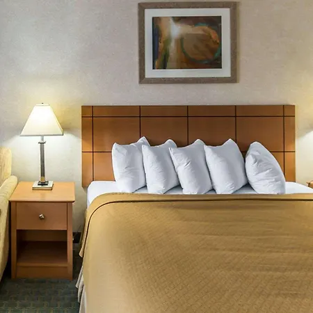 Quality Inn At Collins Road - Cedar Rapids-3