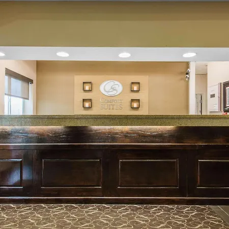 Comfort Suites Rochester Henrietta University Area-3