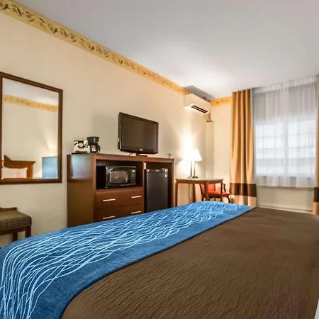 Quality Inn & Suites Dixon Near I-88-3