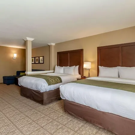 Comfort Inn & Suites - Harrisburg Airport - Hershey South-3
