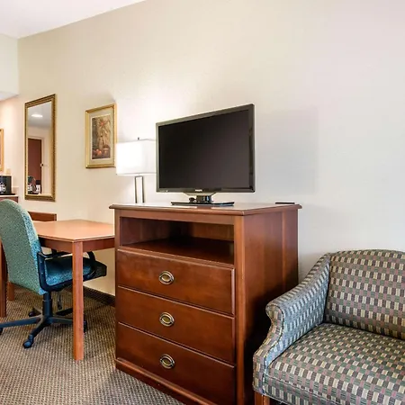 Quality Inn & Suites Tarpon Springs South-3