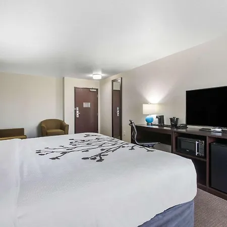 Sleep Inn And Suites - Ankeny-3