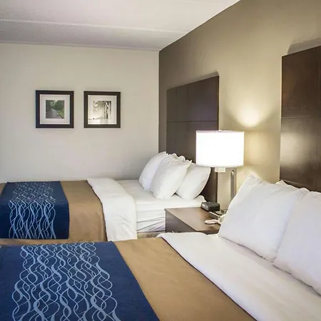 Comfort Inn & Suites Fuquay Varina-2
