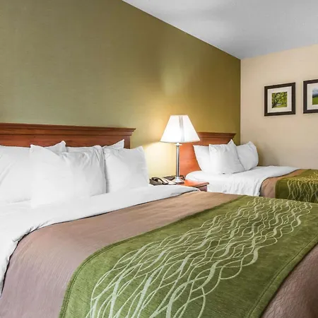 Comfort Inn Weirton - Steubenville-2