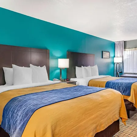 Comfort Inn Sun City Center - Ruskin - Tampa South-2