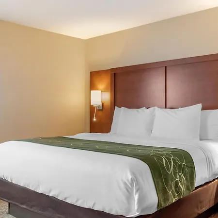 Comfort Inn & Suites Schenectady - Scotia-3