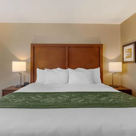 Comfort Inn & Suites Schenectady - Scotia-2