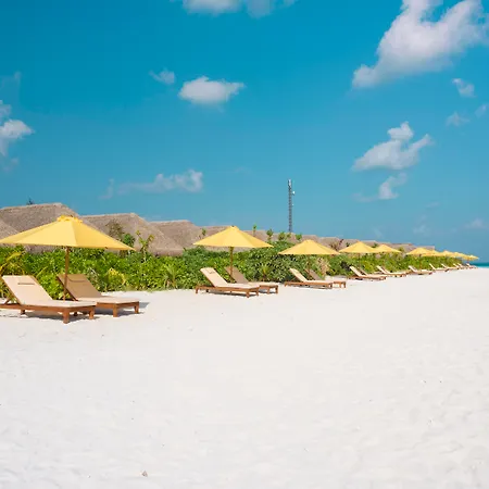 Dhigufaru Island Resort-3