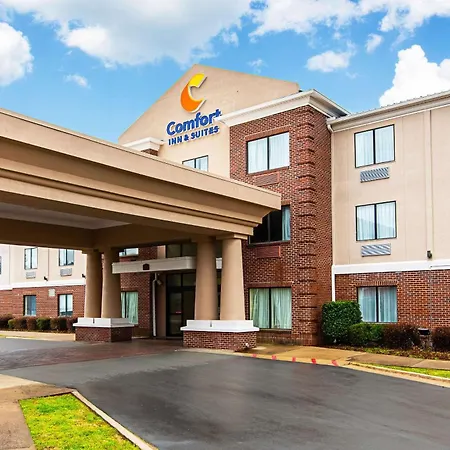 Comfort Inn & Suites Pine Bluff-3
