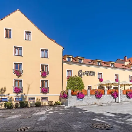 Spa Hotel Centrum-2