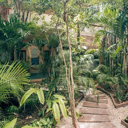 Orchid House Tulum Jungle-2