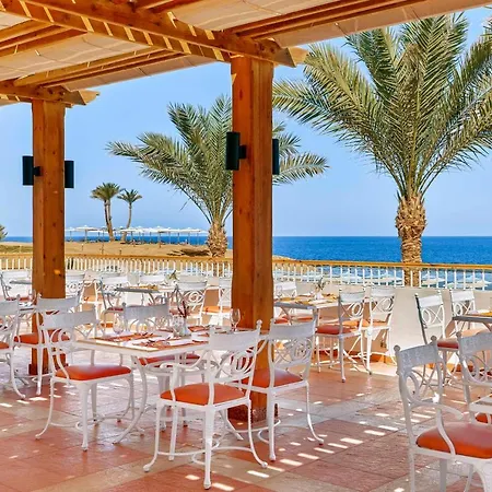JAZ Neo Reef Marsa-3