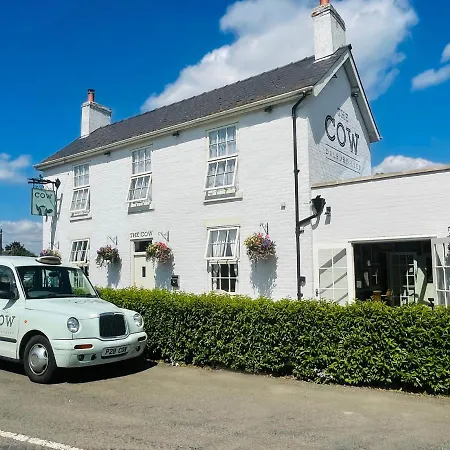 The Cow Dalbury-3