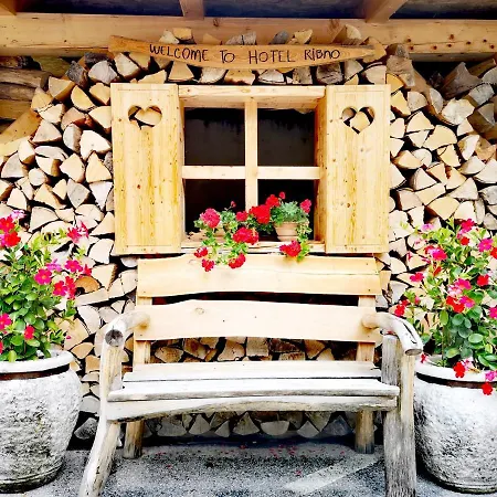 Ribno Alpine Hotel-3