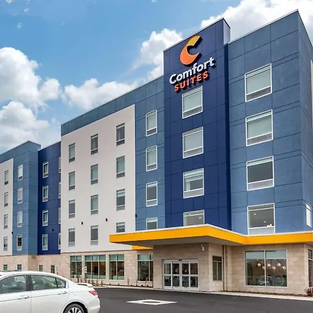 Comfort Suites Cottage Grove-Madison-3