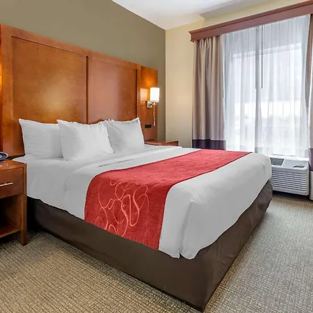Comfort Suites Newark - Harrison-2