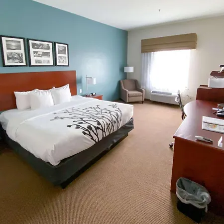 Sleep Inn & Suites Pearland - Houston South-2