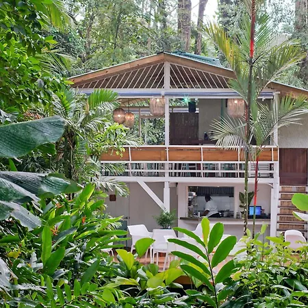 Hotel Aguas Claras Member Of The Cayuga Collection-3