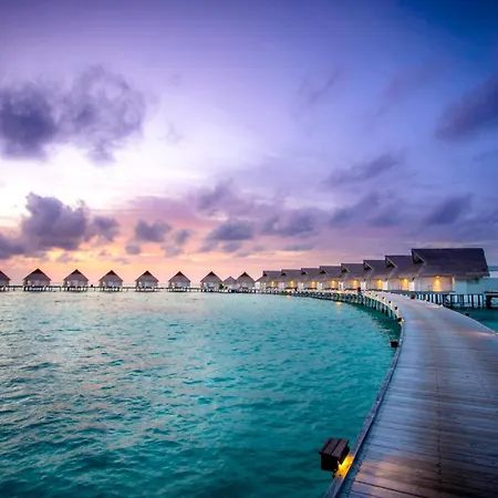 The Centara Collection, Machchafushi Island Resort & Spa Maldives - Stay 4 Nights Or More, Enjoy 25 Percent Off Seaplane Transfers, Valid For Stays From 10 Apr To Sep 2026-3