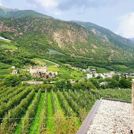 Boutique Hotel Amaril-3