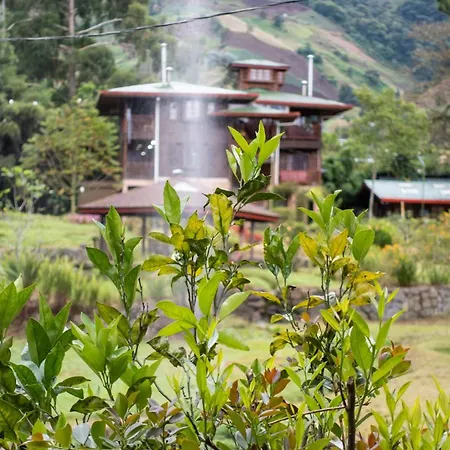 Los Quetzales Ecolodge & Spa-3