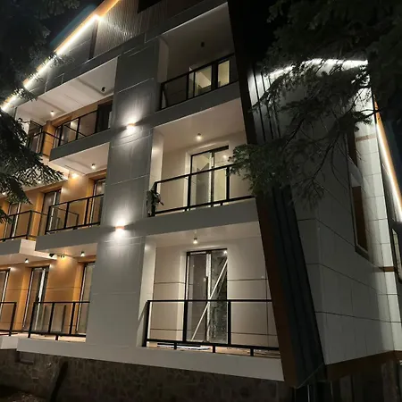 Forest Villa-2