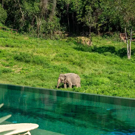 Wild Cottages Elephant Sanctuary Resort-2