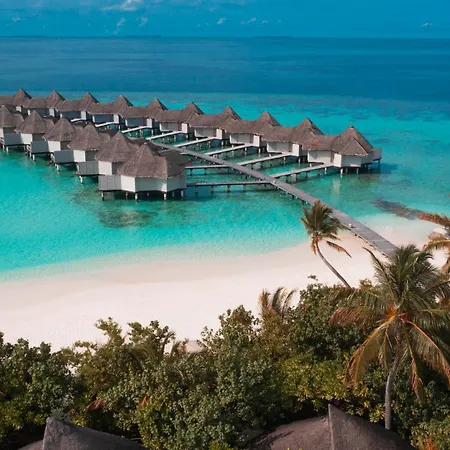 Drift Thelu Veliga Retreat (Adults Only)-2