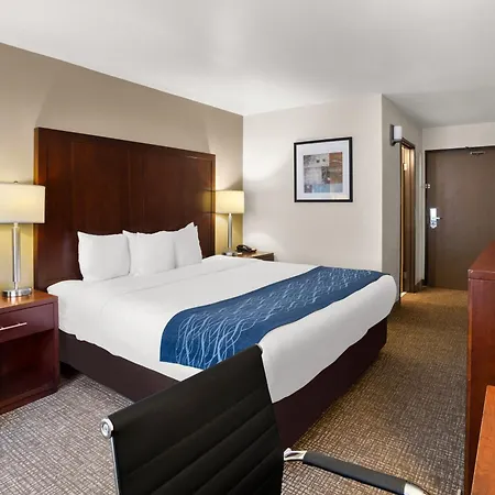 Comfort Inn Lacey - Olympia-2